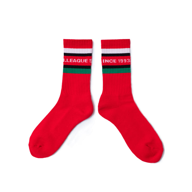 SHUKYU × J.LEAGUE - 1993 Socks